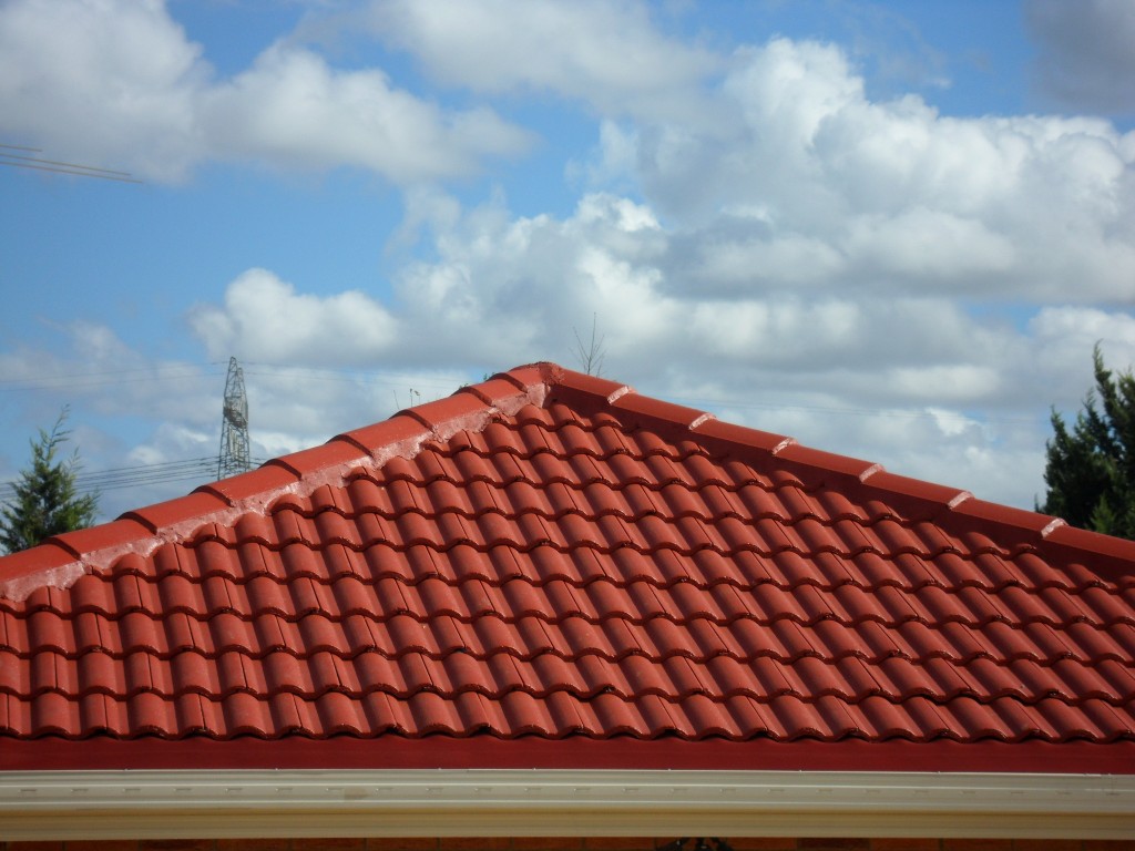 roof-painting